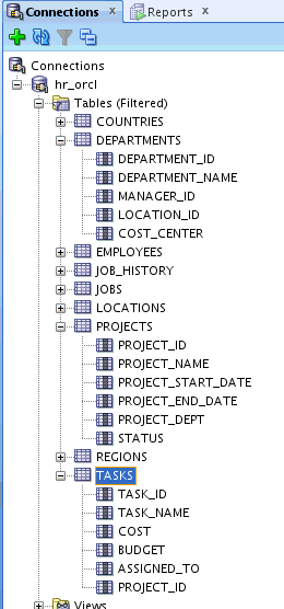   SQL Developer